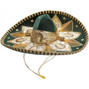 Sombrero charro mexicano de terciopelo bordado